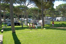 Parcelas camping clásicas